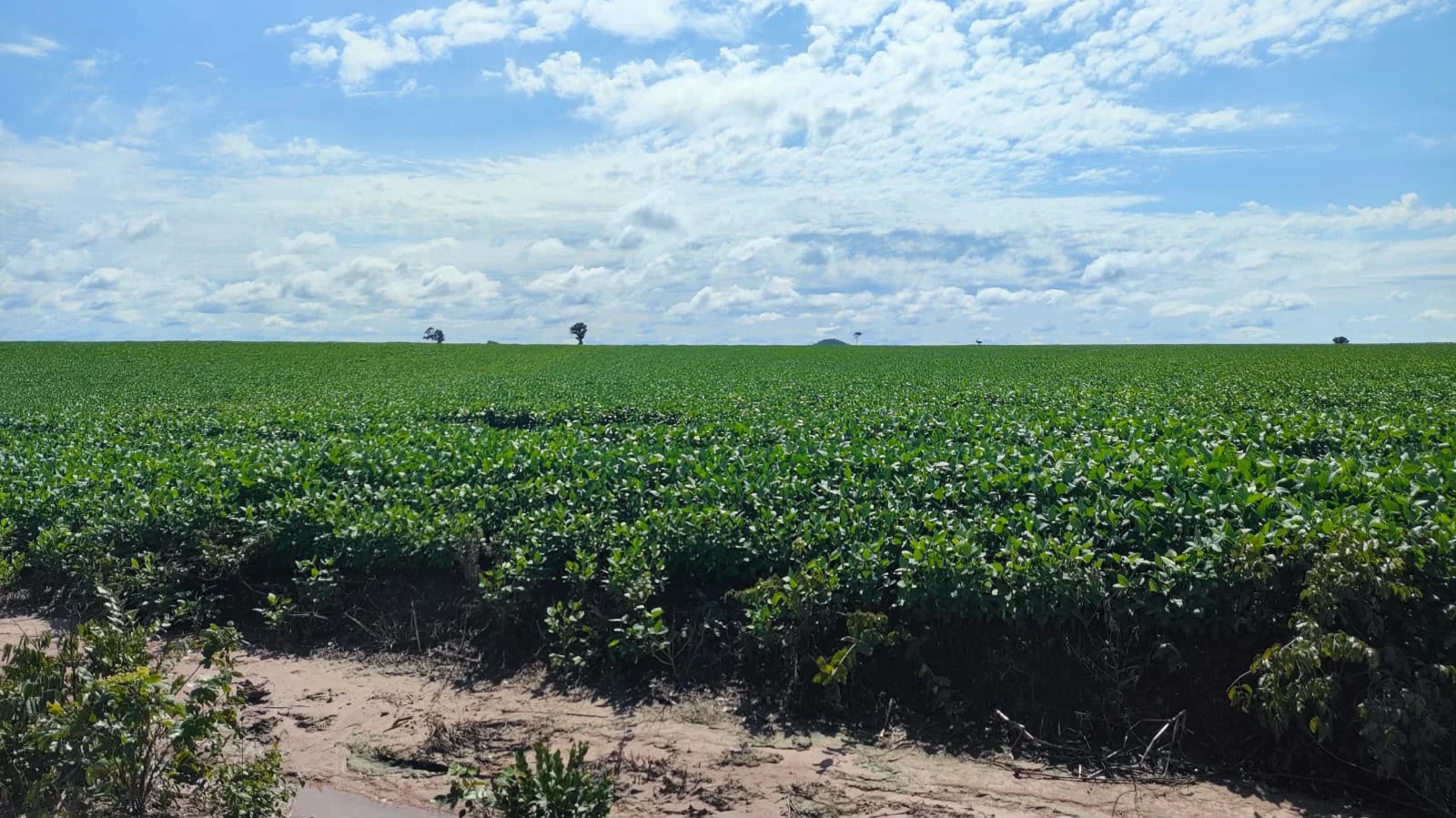 Fazenda de 1.926hec no Tocantins