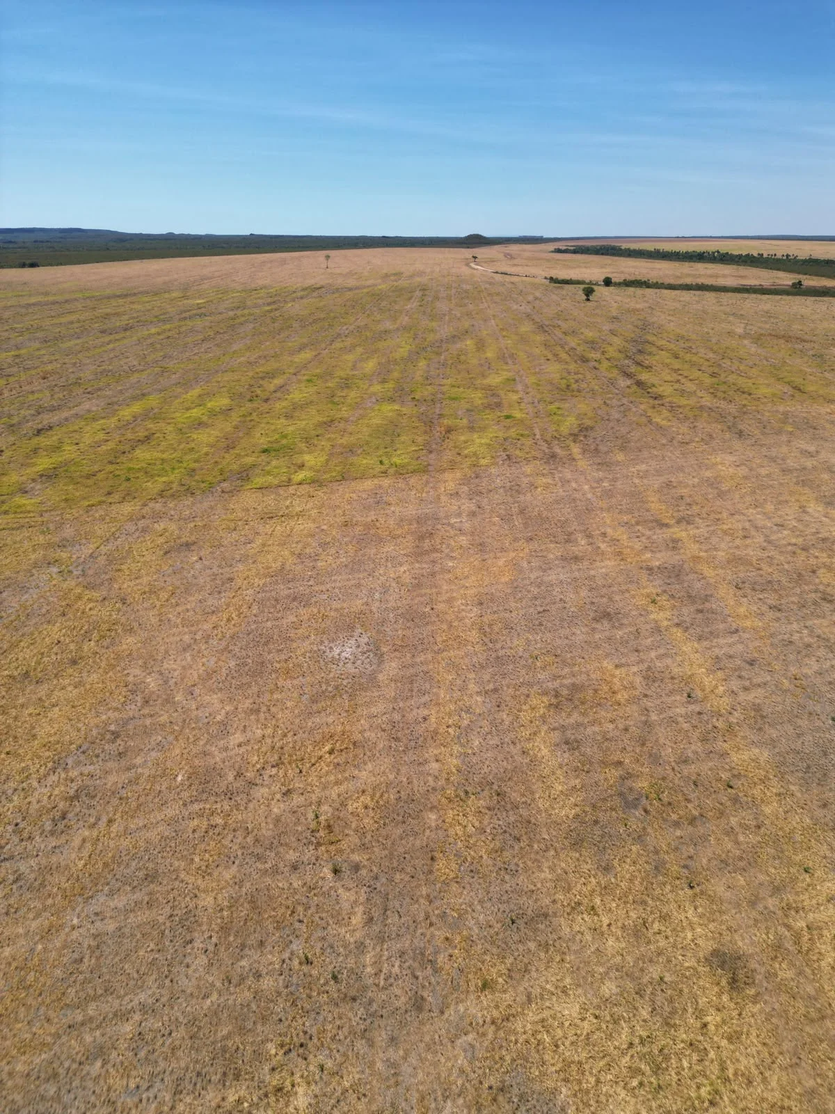 Fazenda de 1.926hec no Tocantins