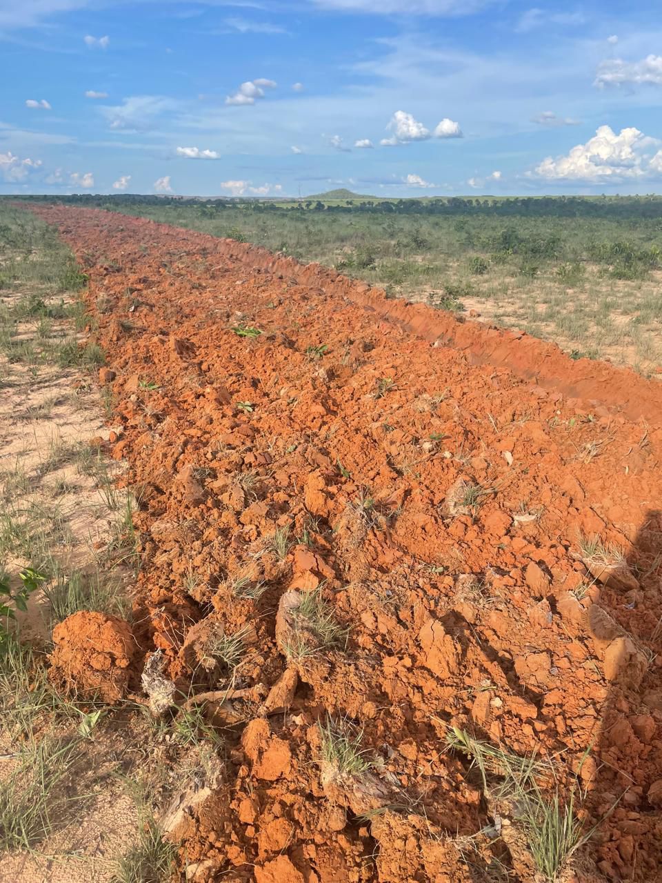 Fazenda de 2.000 hec em Lagoa do Tocantins/TO