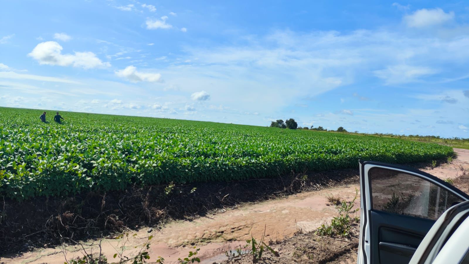 Fazenda de 2.000 hec em Lagoa do Tocantins/TO