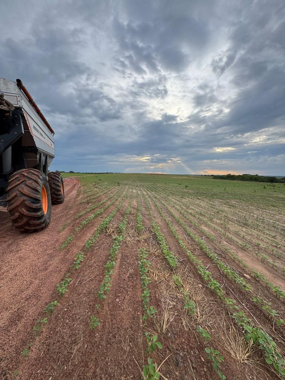 Fazenda de 2.000 hec em Lagoa do Tocantins/TO