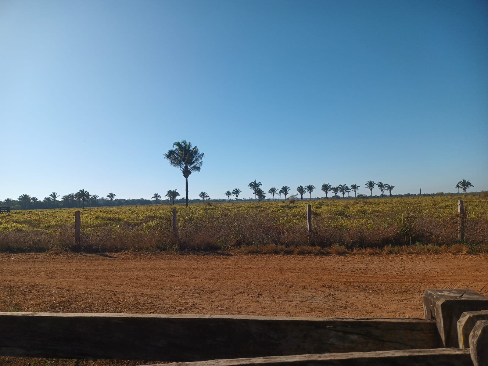 Fazenda de 1.016 hec em Santana do Araguaia/PA