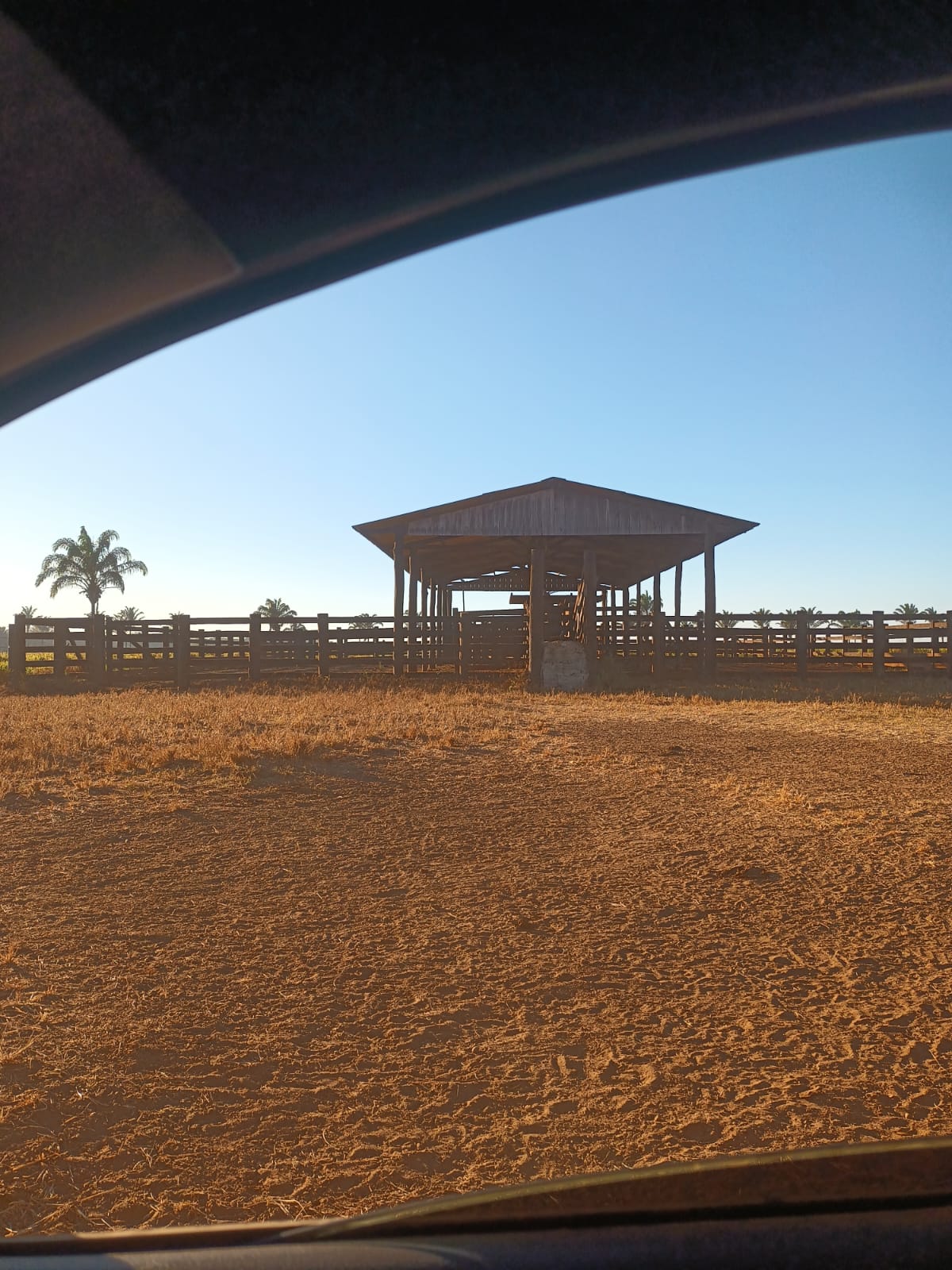 Fazenda de 1.016 hec em Santana do Araguaia/PA