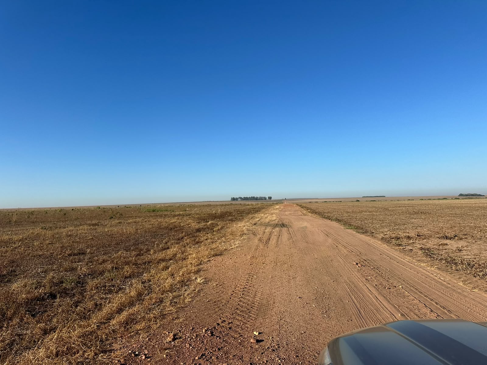 Fazenda de 3.000 hec em Guaraí/TO