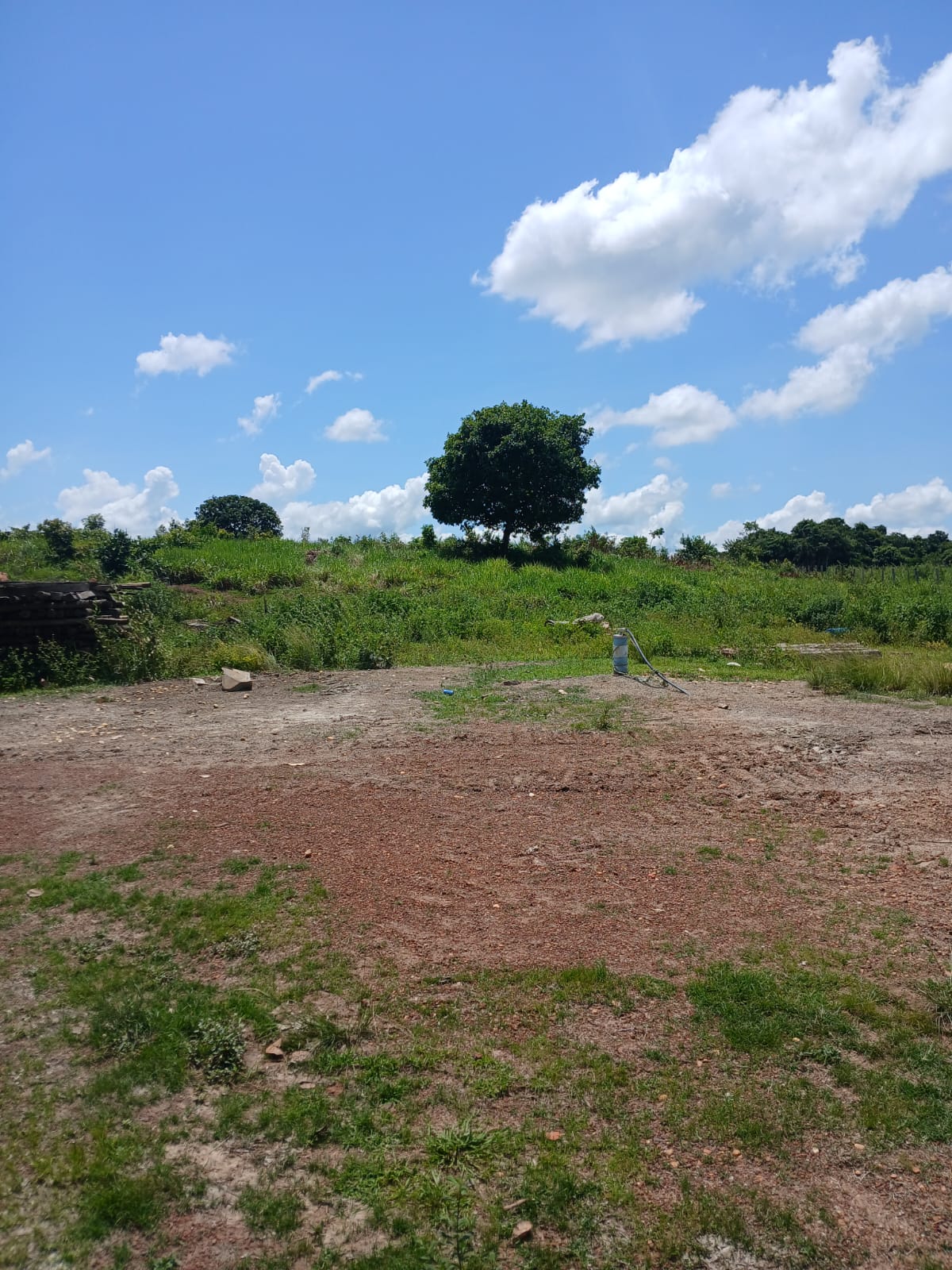 Fazenda de 1.074,48 ha em Piquizeiro/TO