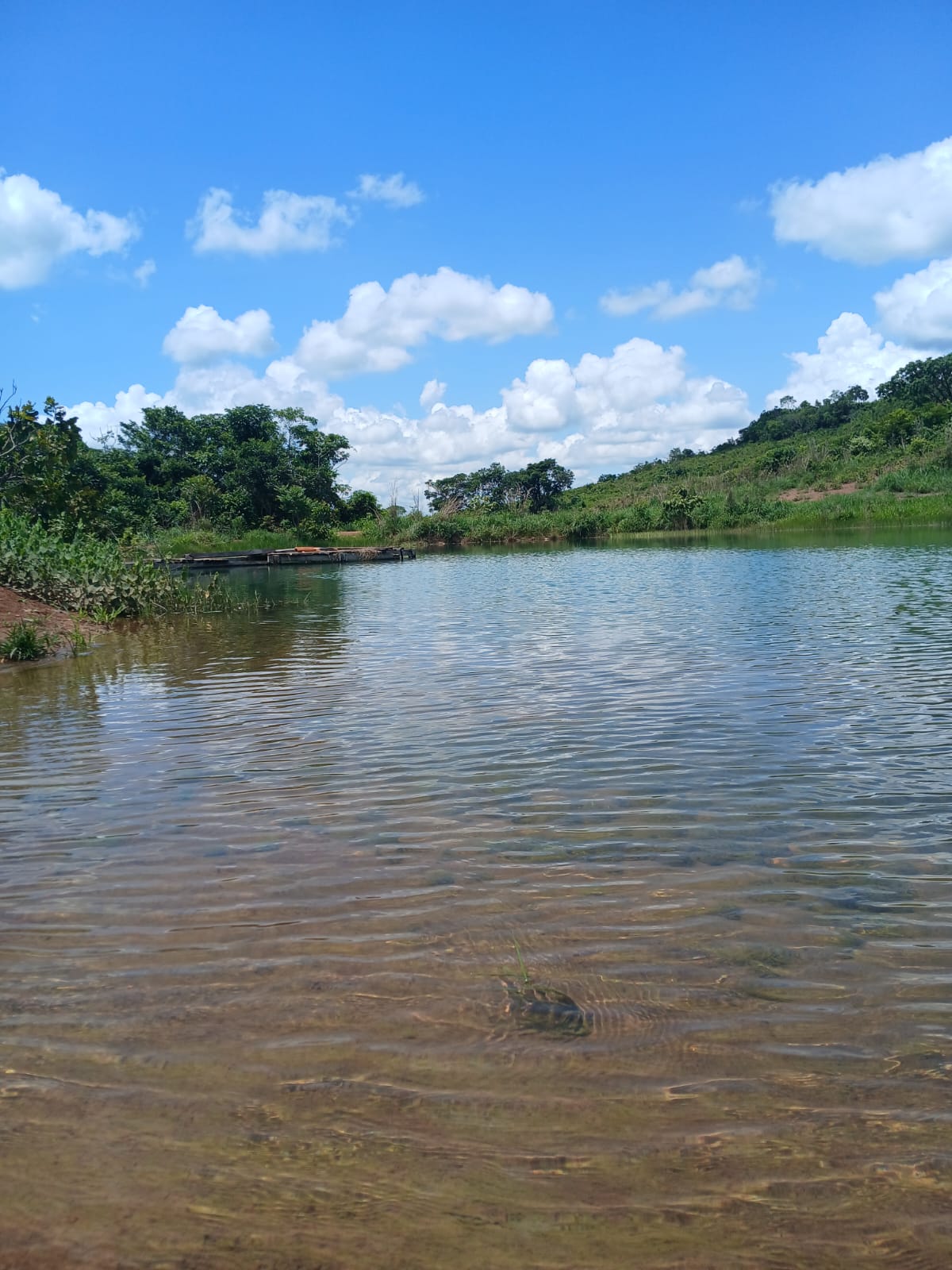 Fazenda de 1.074,48 ha em Piquizeiro/TO