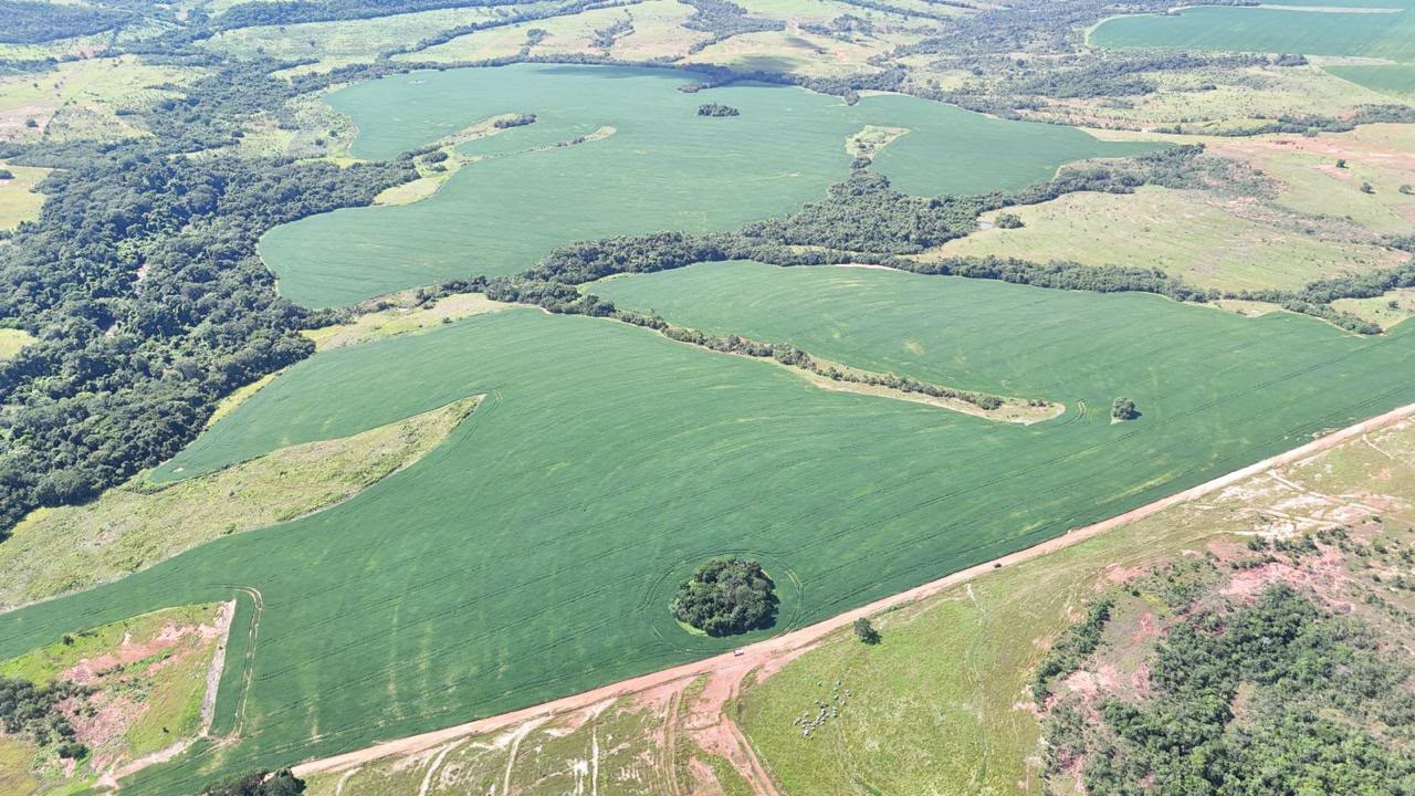 Fazenda de 11.964 hec em Goiás
