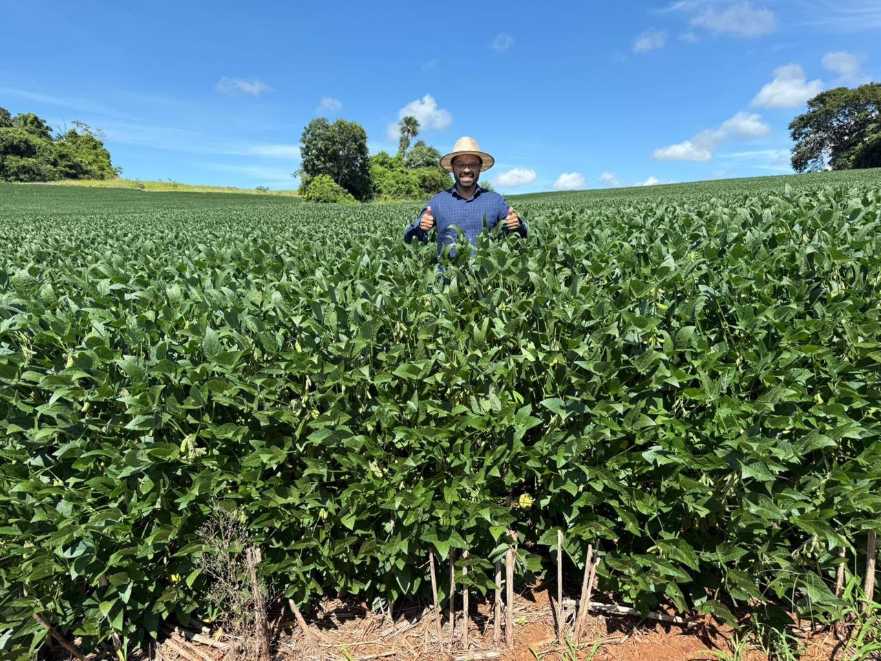 Fazenda de 11.964 hec em Goiás