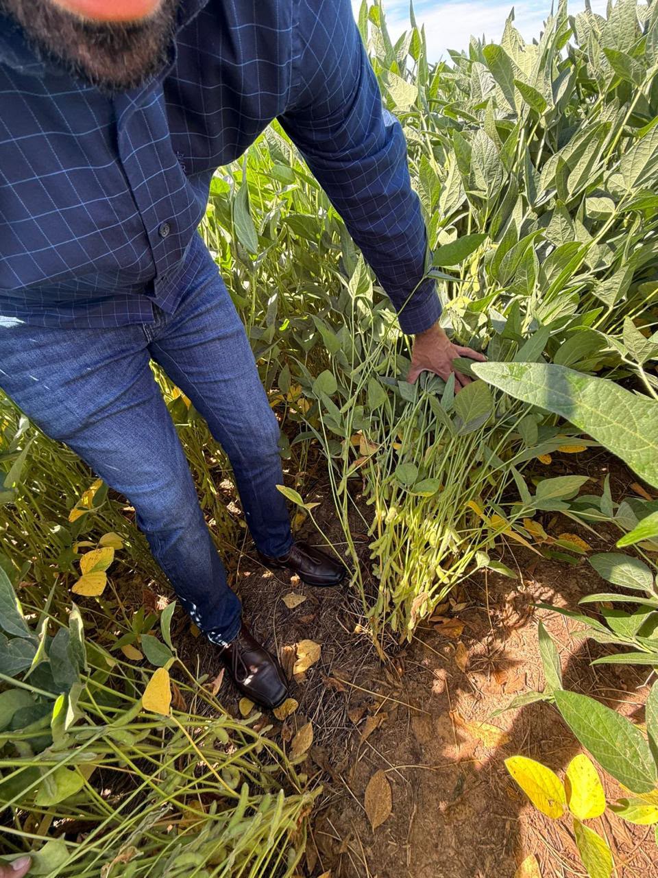 Fazenda de 11.964 hec em Goiás