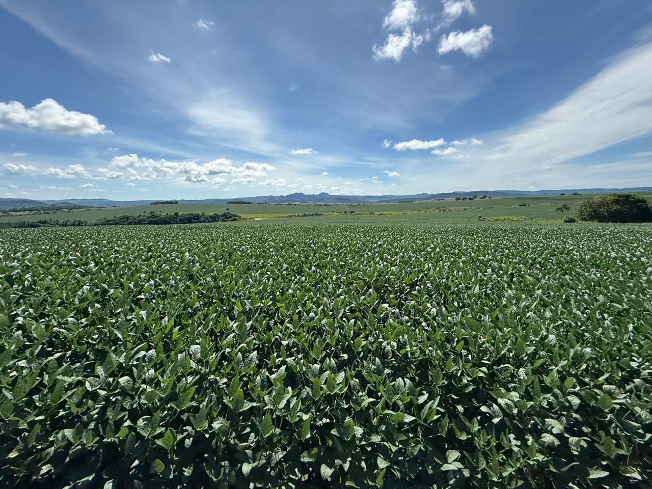 Fazenda de 11.964 hec em Goiás