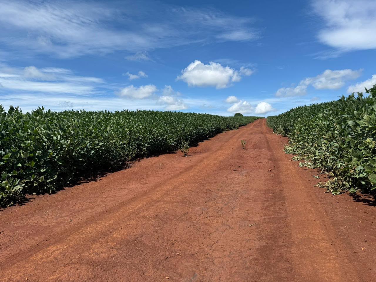 Fazenda de 11.964 hec em Goiás