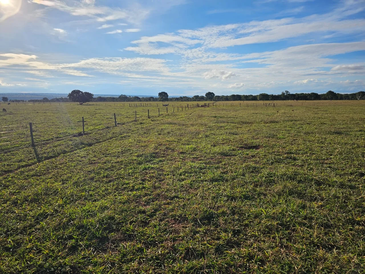 Fazenda de 250hec em Paraíso das Águas