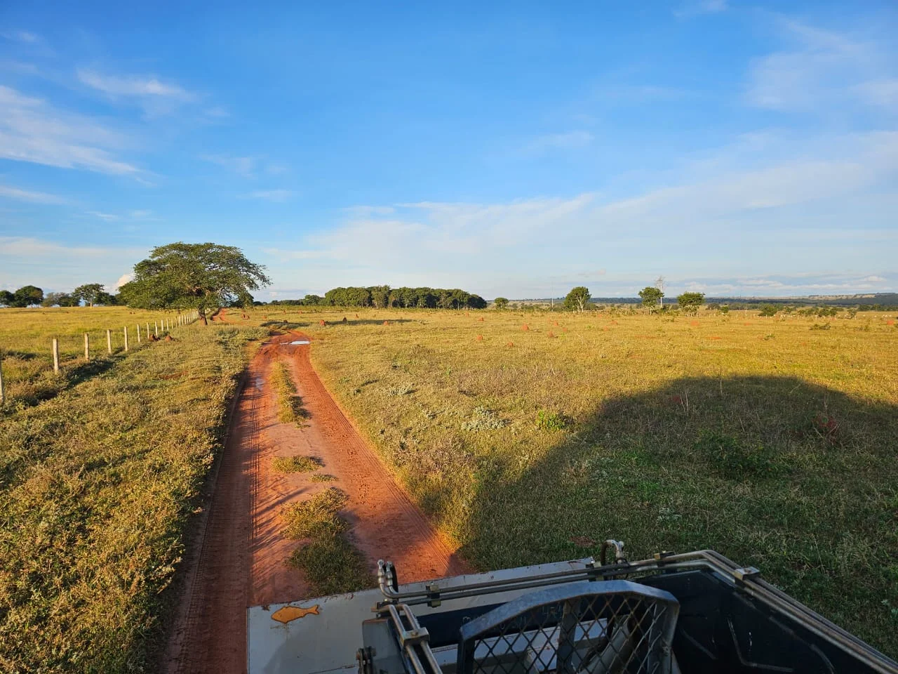 Fazenda de 250hec em Paraíso das Águas