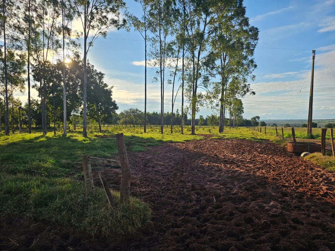 Fazenda de 250hec em Paraíso das Águas