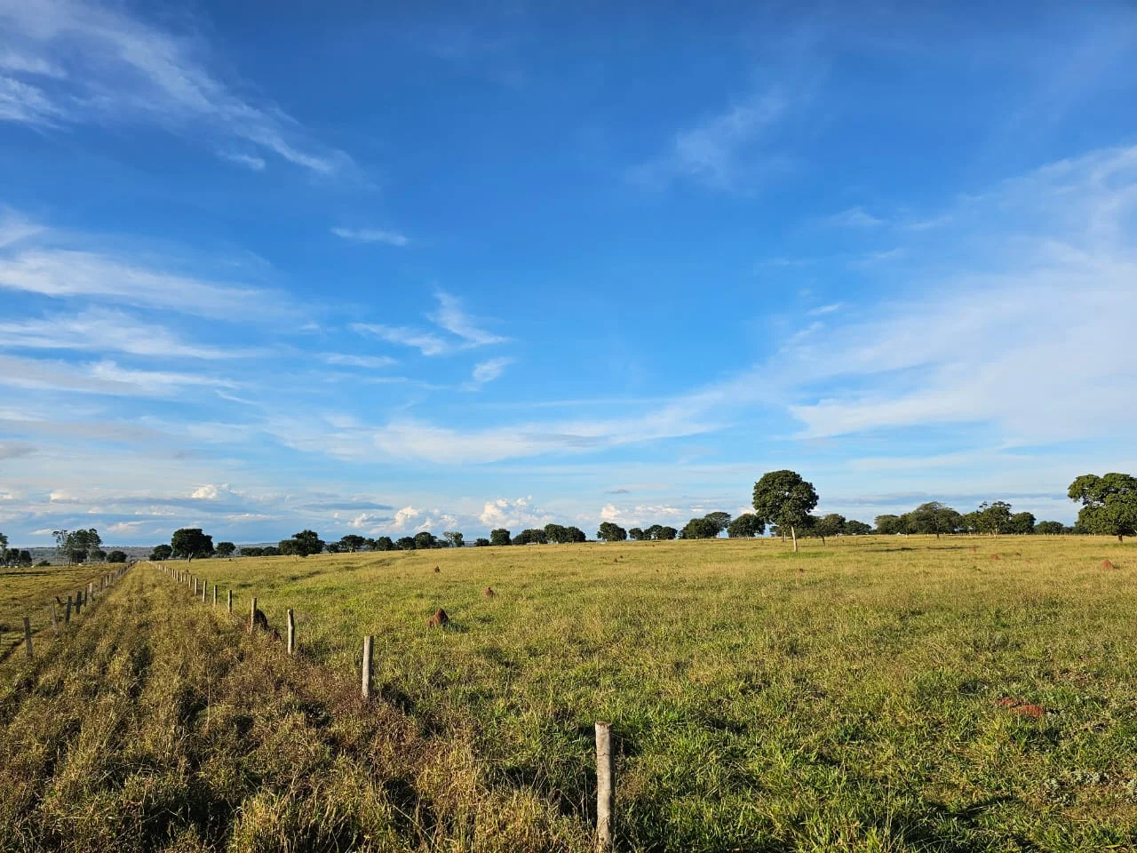 Fazenda de 250hec em Paraíso das Águas