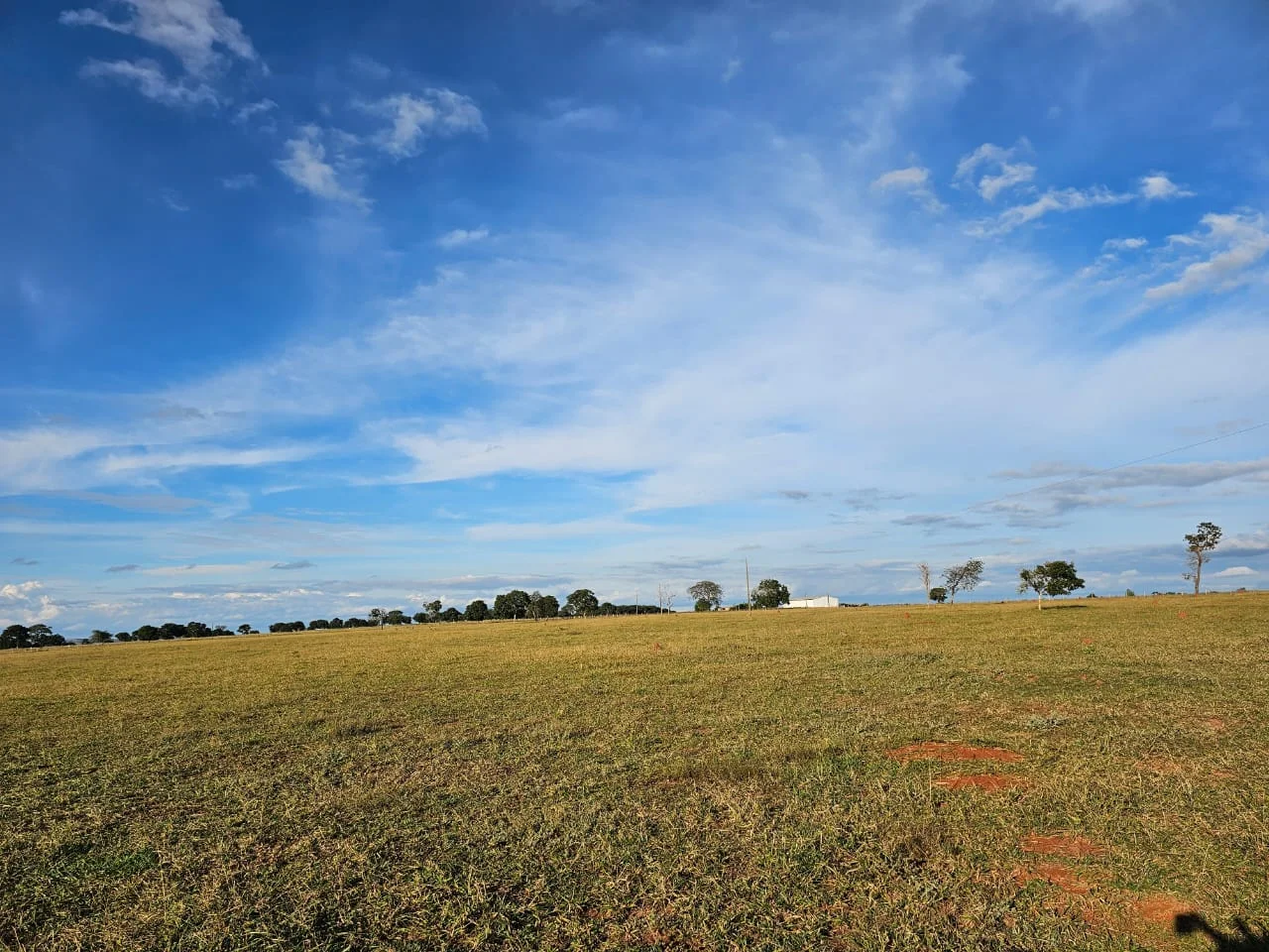 Fazenda de 250hec em Paraíso das Águas