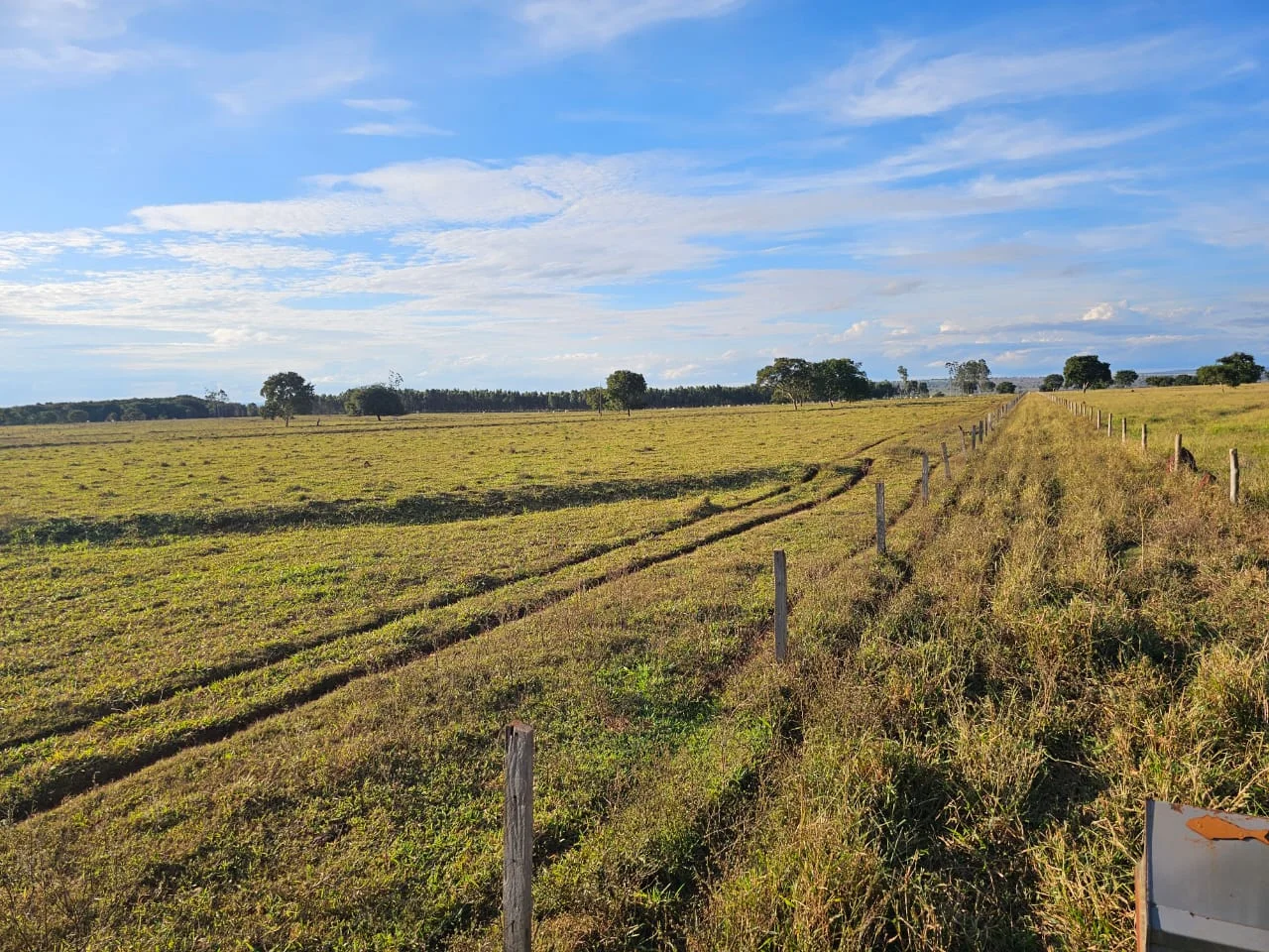 Fazenda de 250hec em Paraíso das Águas