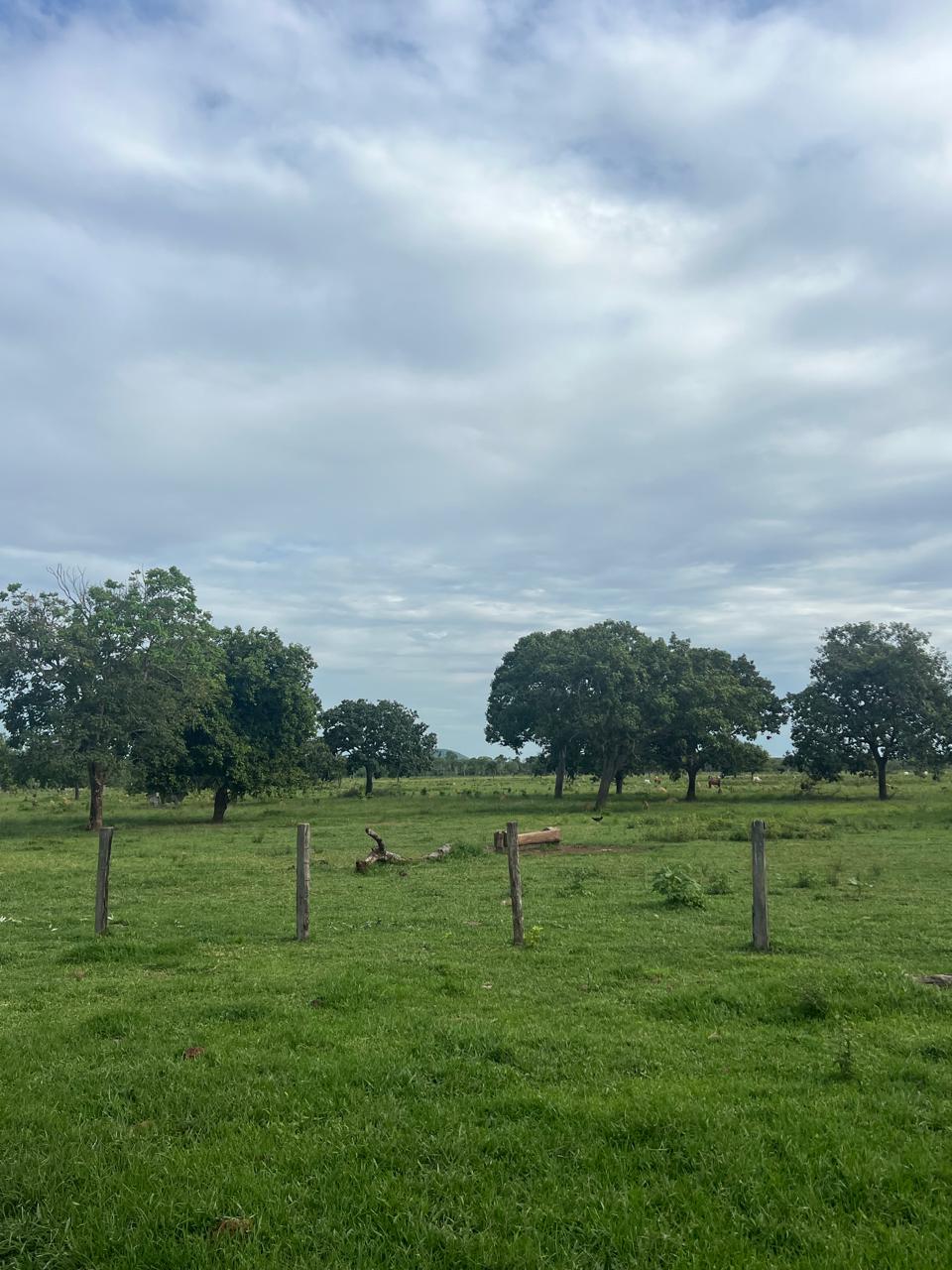 Fazenda de 1.065 hec em Santa Maria das Barreiras/PA