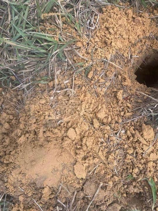 Fazenda de 3.878 hec no Tocantins