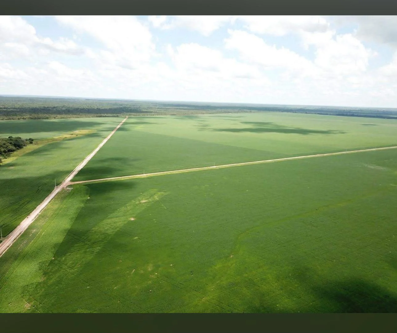 Fazenda de 1.379 hec no Tocantins