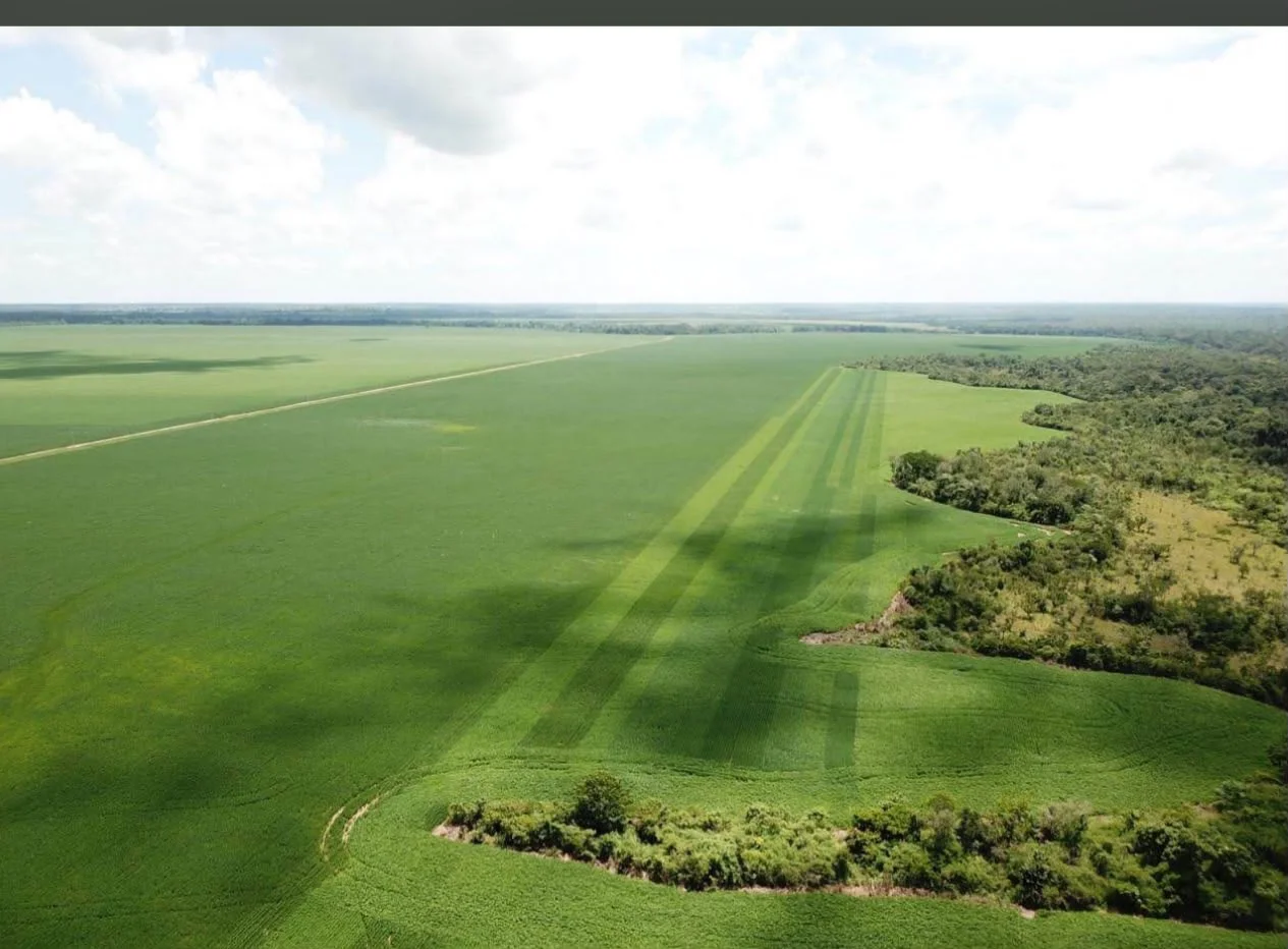 Fazenda de 1.379 hec no Tocantins