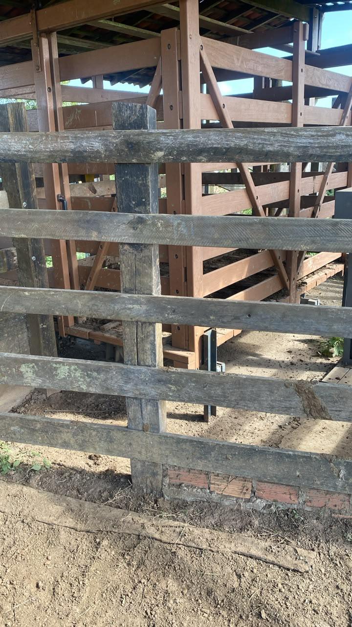 Fazenda de 305 hec no Maranhão