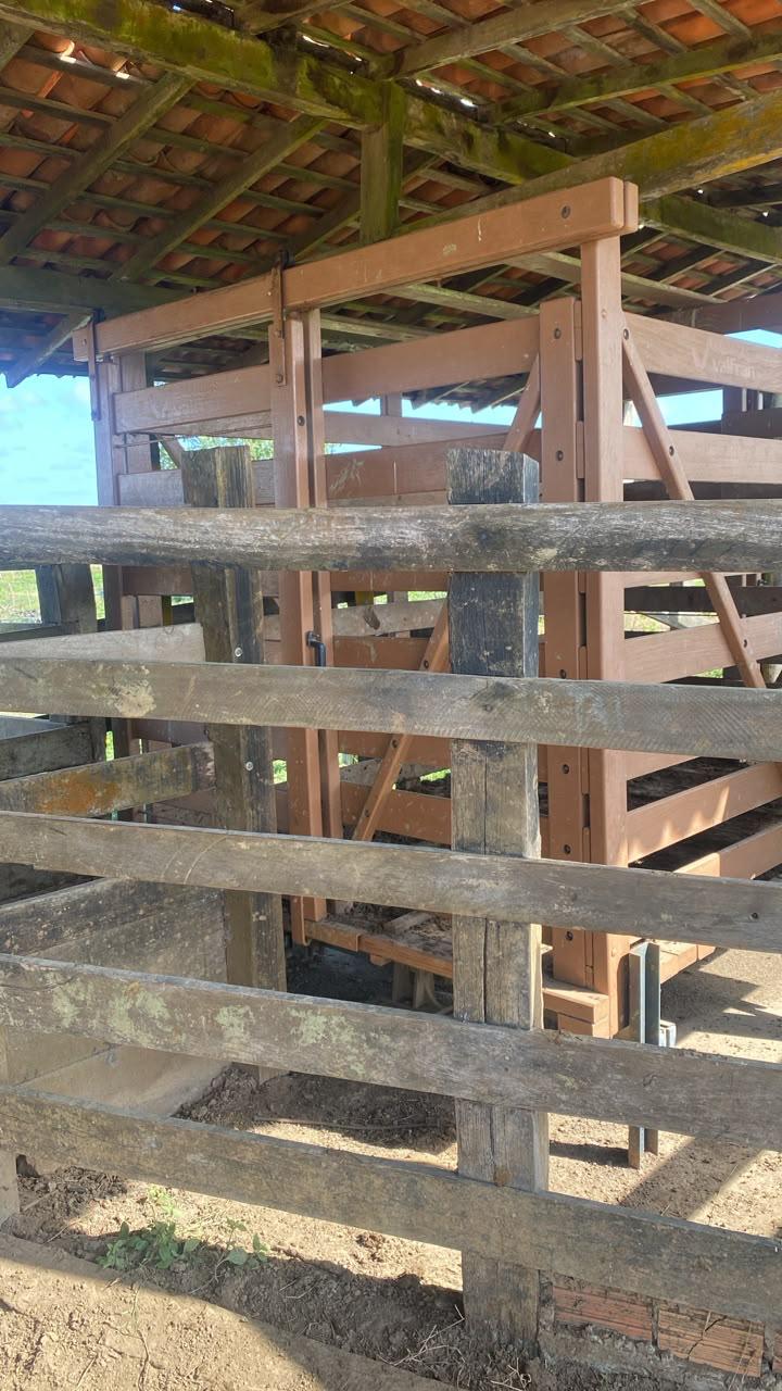 Fazenda de 305 hec no Maranhão