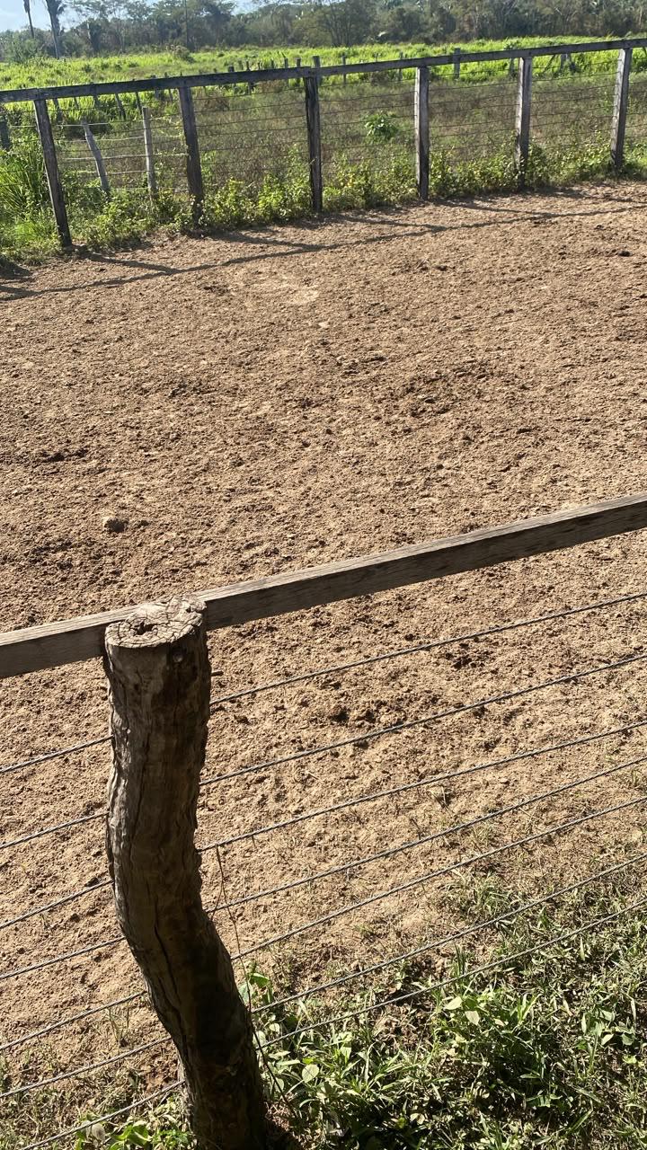 Fazenda de 305 hec no Maranhão