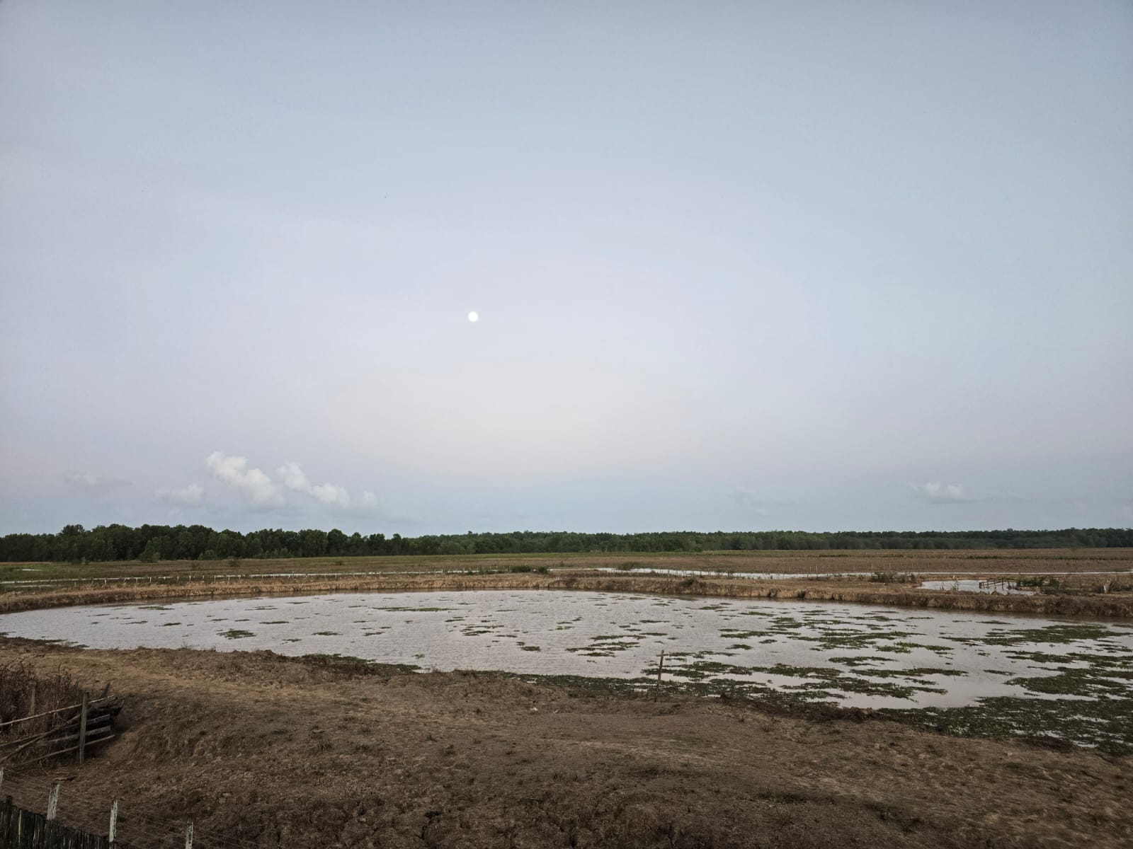Fazenda de 32.000 ha em Tartarugalzinho/AP
