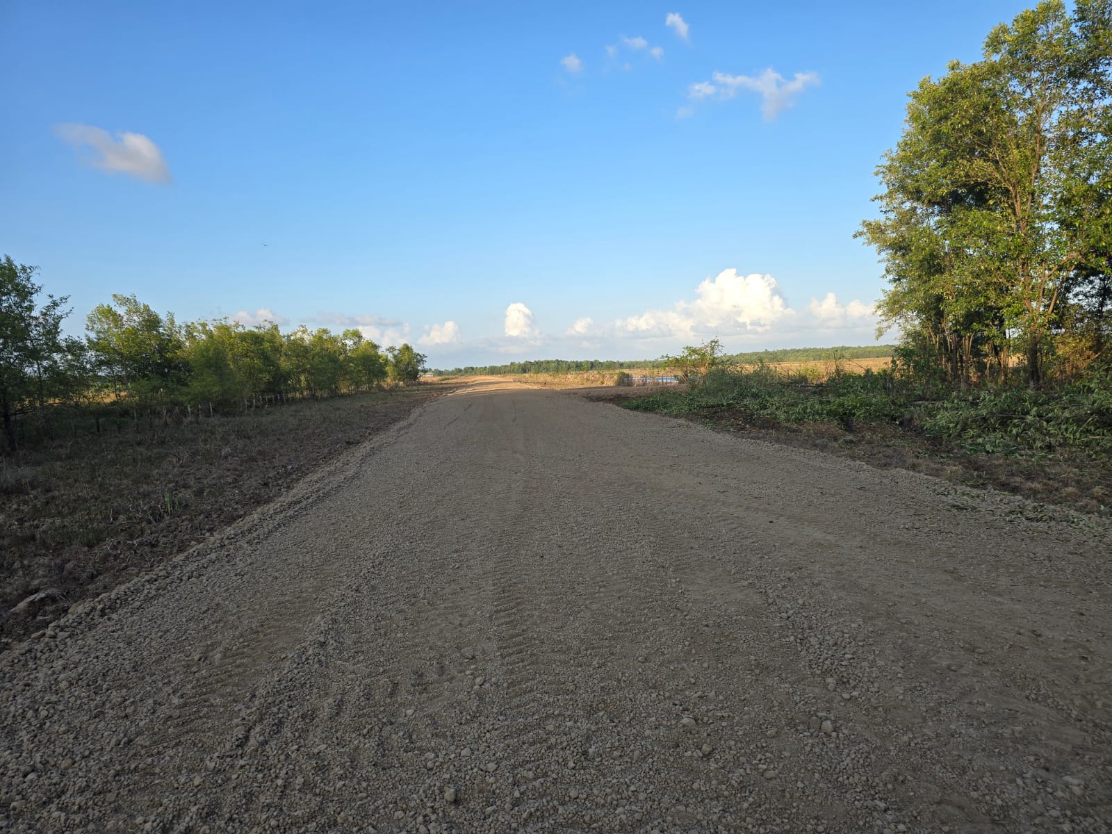 Fazenda de 32.000 ha em Tartarugalzinho/AP