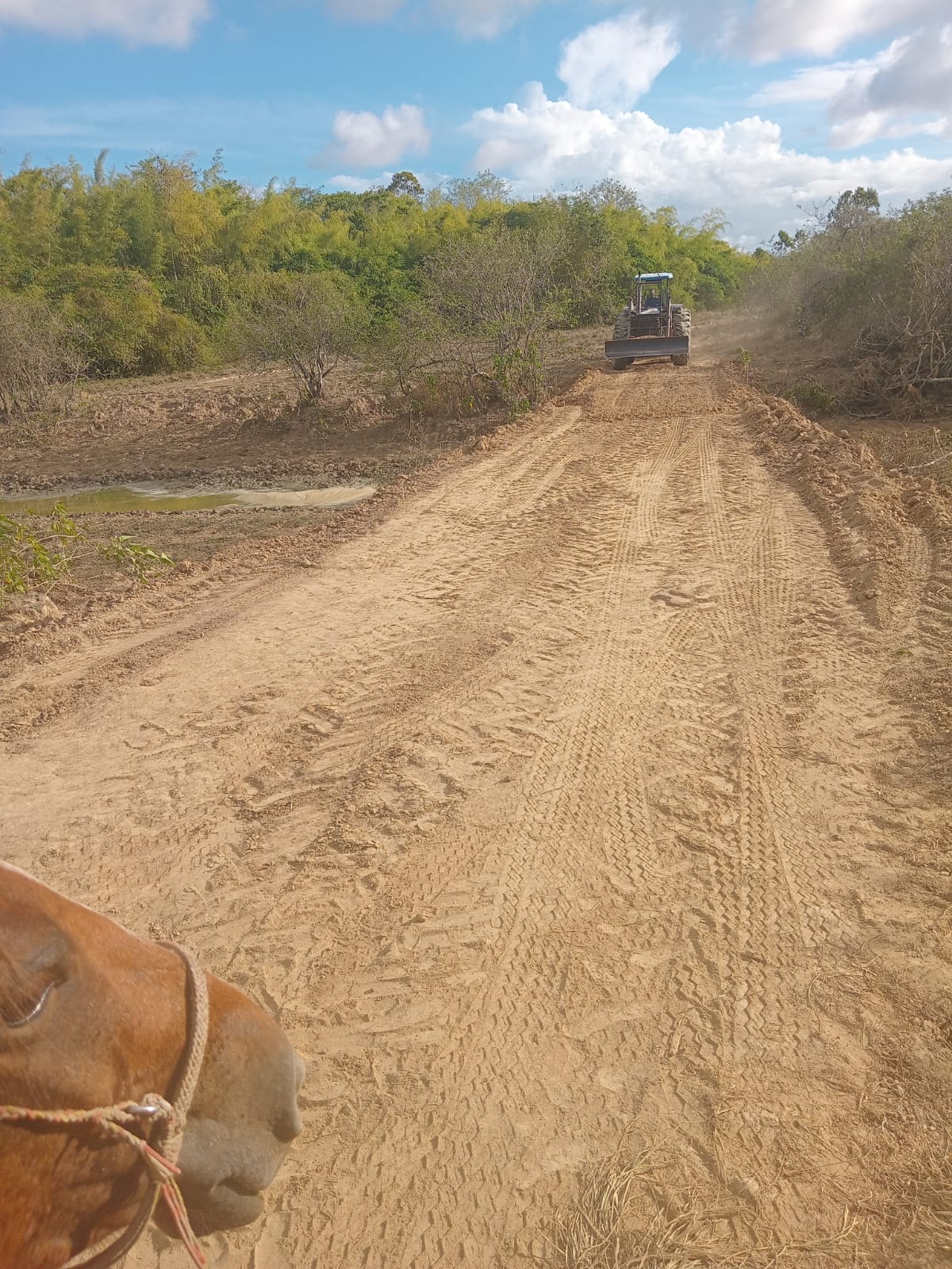 Fazenda de 32.000 ha em Tartarugalzinho/AP